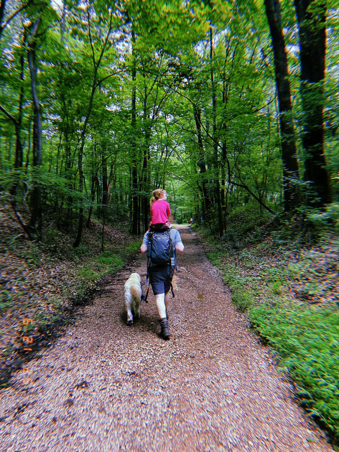 photo of Josh carrying Ellie on a hike at Red Mountain Park